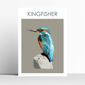 Kingfisher Print