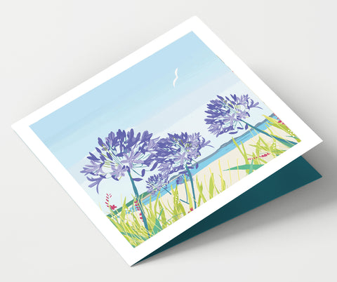 Scilly Isles and Agapanthus