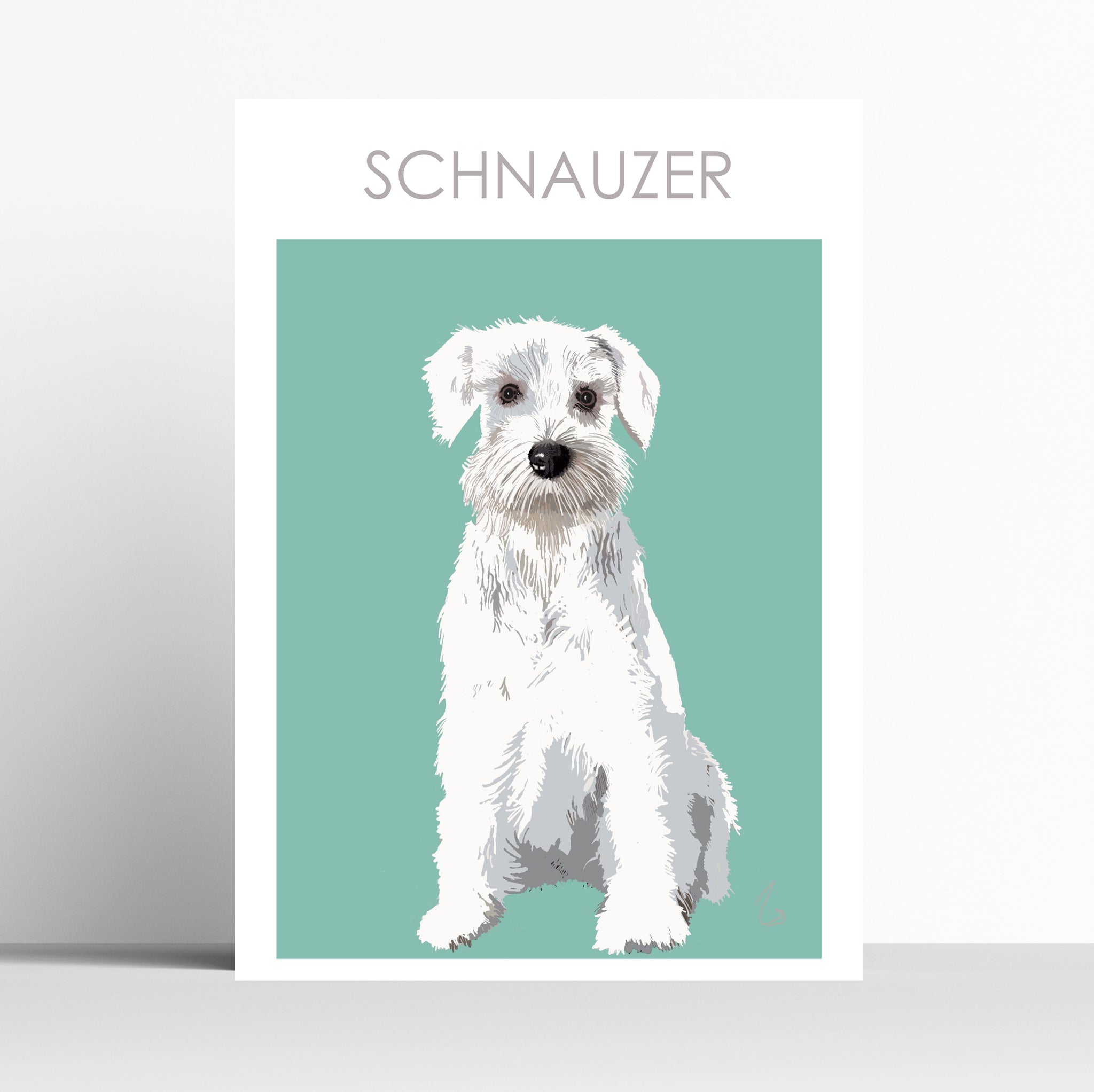 White Schnauzer Print