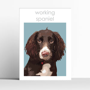 Working Spaniel Print
